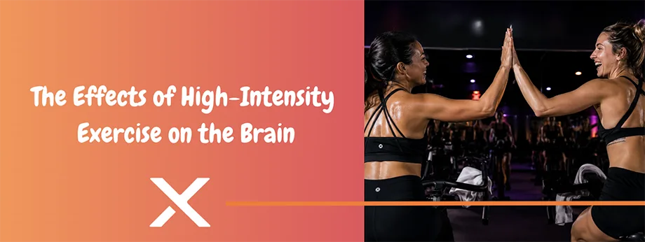 The Effects of High-Intensity Exercise on the Brain 